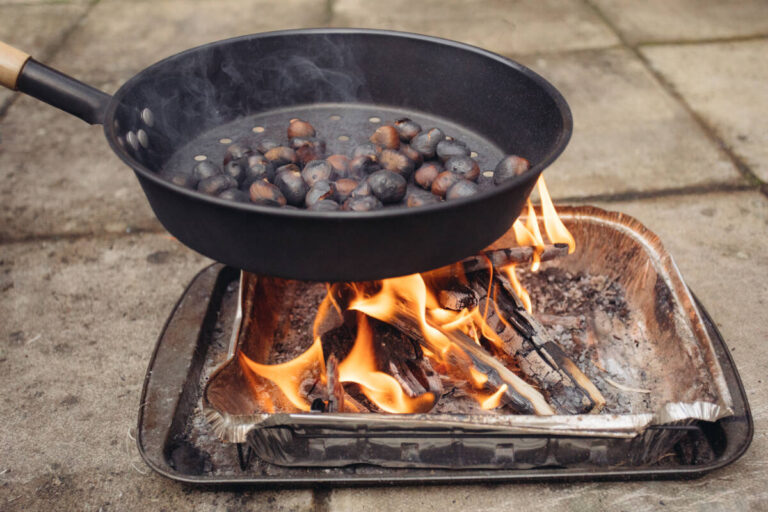 Things I Would Blog About If I Had A Recipe Blog: How To Roast Chestnuts On An Open Fire