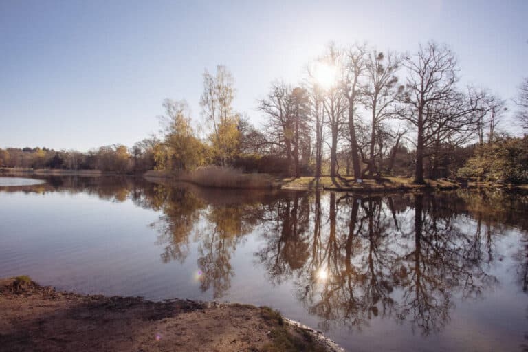 Virginia Water Lake: Day Trip From London