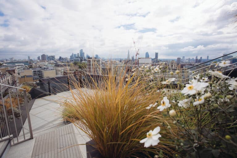 The Roof Garden at the Post Building: Best Free Rooftop in Central London